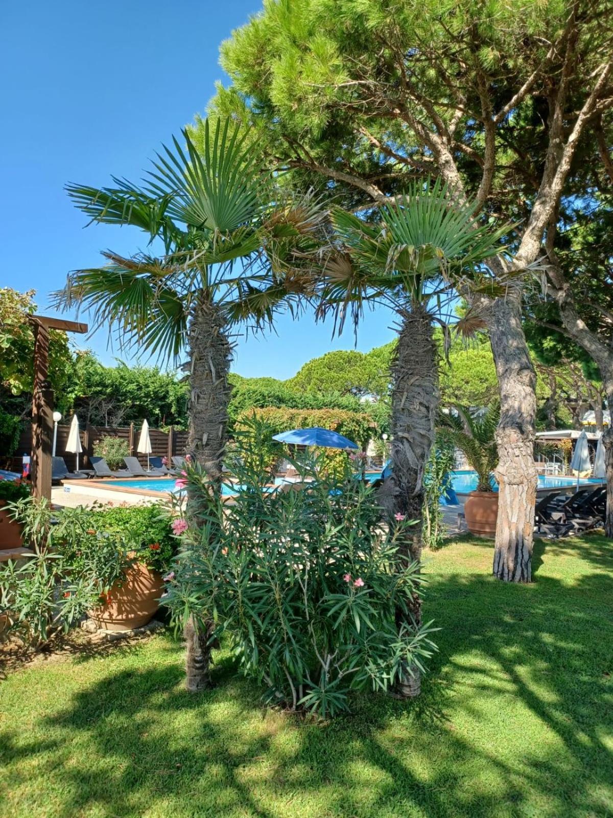 Hotel Vina Del Mar Pineta Lido di Jesolo Exterior photo